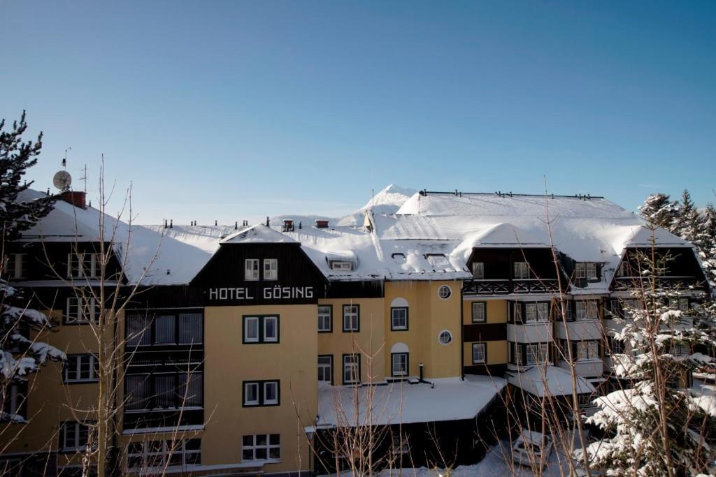 Alpenhotel Goesing Puchenstuben Экстерьер фото